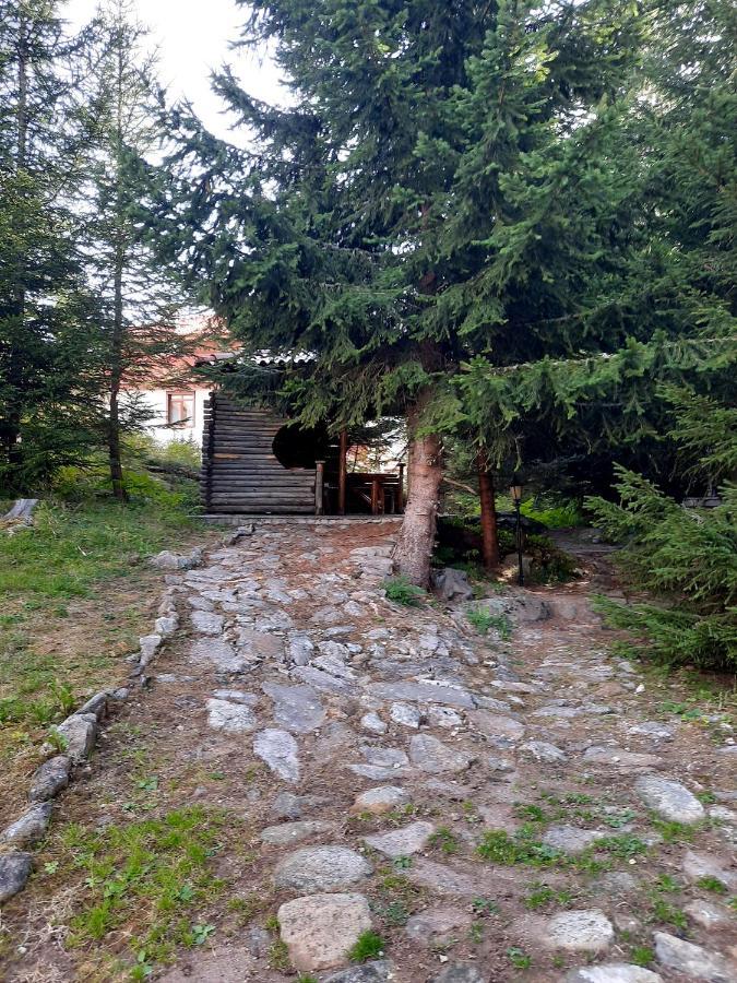 Луксозен Апартамент - "Моето Щастливо Място"- Смолянски Езера Exterior foto